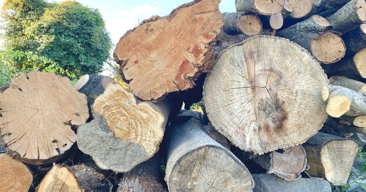 南大阪で自然素材の注文住宅を建てたい方へ｜メリットと注意点を建築の視点で解説のアイキャッチ画像です。